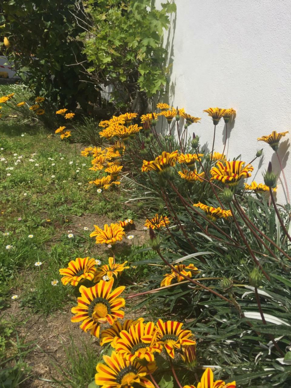 Maison La Fleur De Sel Anglet Eksteriør bilde